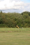 27082011-23.jpg