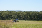 28082011-5.jpg