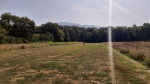 20240831_114305.jpg