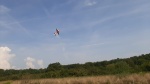 20240831_115519.jpg