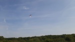 20240831_115521.jpg