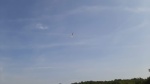 20240831_115525.jpg