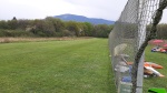 20250412_121757.jpg