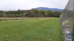 20250412_121759.jpg
