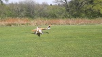 20250412_144210.jpg