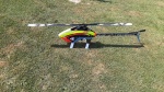20250705_104609.jpg