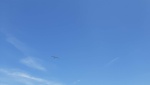 20250705_123024.jpg