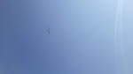 20250705_123026.jpg