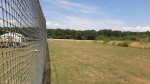 20250705_123131.jpg